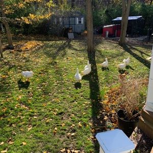 Meet your Posher, Abigail